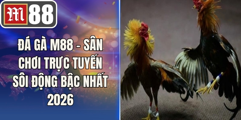 Đá Gà M88 - Sân Chơi Trực Tuyến Sôi Động Bậc Nhất 2026