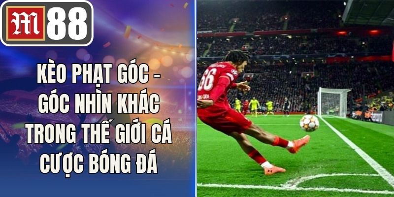 Kèo Phạt Góc – Góc Nhìn Khác Trong Thế Giới Cá Cược Bóng Đá