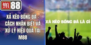 Xả Kèo Bóng Đá - Cách Nhận Biết Và Xử Lý Hiệu Quả Tại M88