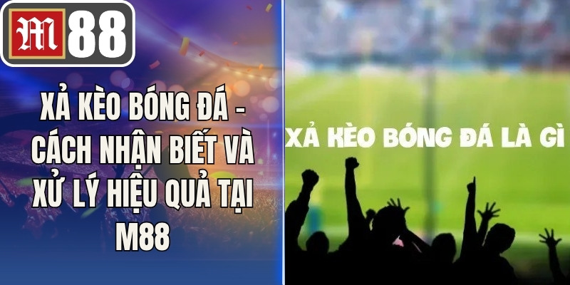 Xả Kèo Bóng Đá - Cách Nhận Biết Và Xử Lý Hiệu Quả Tại M88